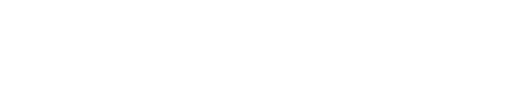 logo_adsalsa_interactive_neg